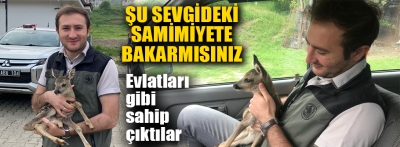 Karacaya evlatları gibi sahip çıktılar