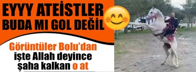 Bolu'da "Allah" deyince şaha kalkan at