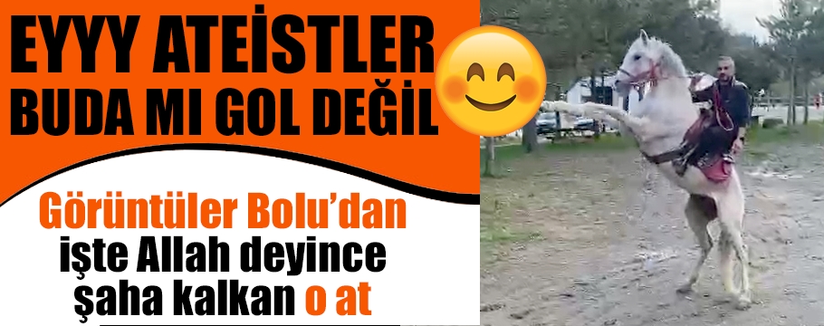 Bolu'da 