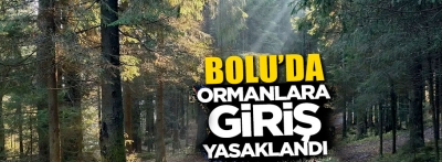 Bolu'da ormanlara giriş yasaklandı