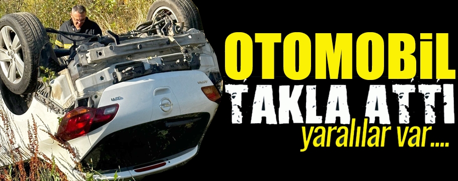 Bolu'da takla atan otomobildeki 2 kişi yaralandı