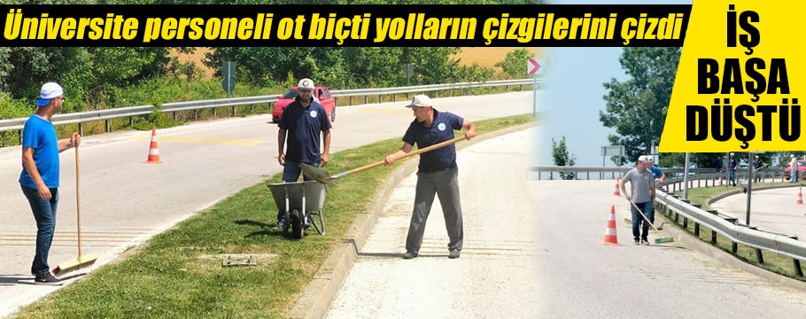 Üniversite personeli ot biçti, yolları temizledi