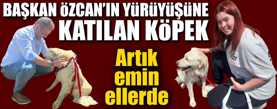 “Yoldaş” artık emin ellerde