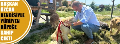 Değişim ve Adalet Yürüyüşü'ne katılan köpeğe sahip çıktı
