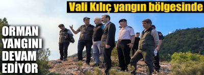 Vali Kılıç Göynük'te yangın bölgesinde