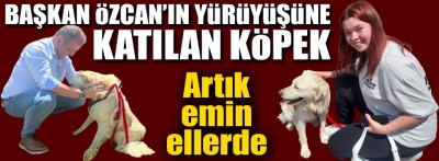 “Yoldaş” artık emin ellerde