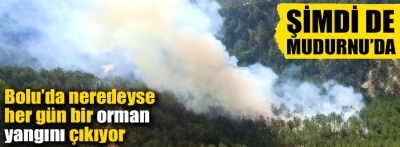Bolu Mudurnu'da çıkan orman yangınına müdahale ediliyor