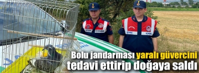 Bolu'da jandarmanın bitkin halde bulduğu güvercin tedavi edildi