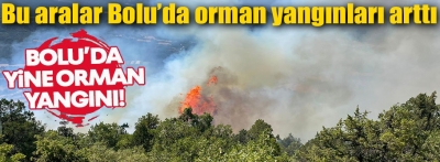 Bolu'da orman yangınına müdahale ediliyor