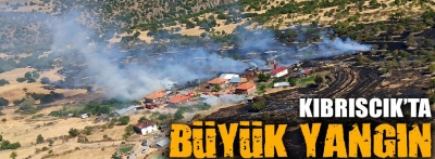  Bolu'nun Kıbrıscık ilçesinde çıkan yangın söndürüldü
