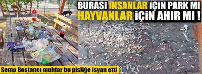 Bu görüntüler muhtarı isyan ettirdi