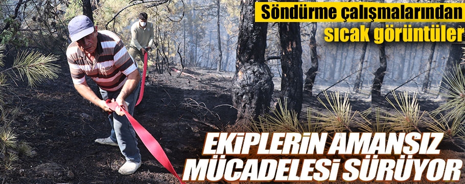 Bolu'da çıkan orman yangınlarına müdahale sürüyor