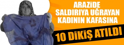 Bolu'da arazide saldırıya uğrayan kadının  kafasına 10 dikiş atıldı