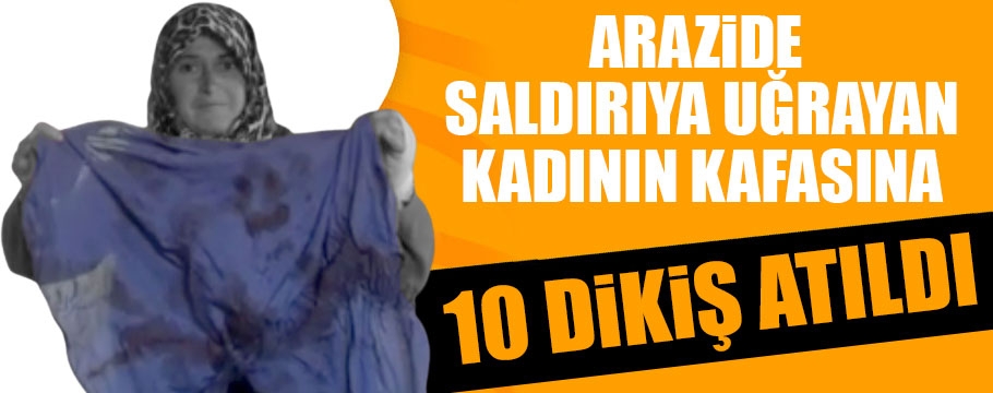 Bolu'da arazide saldırıya uğrayan kadının  kafasına 10 dikiş atıldı