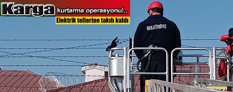 Bolu'da karga kurtarma operasyonu