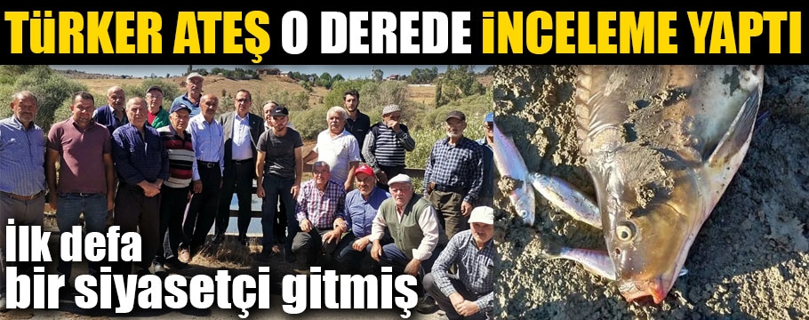 Türker Ateş Bolu'da yaşanan bu doğa katliamını meclis gündemine taşıyor