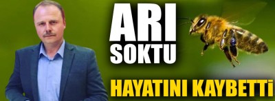 Bolu'da arının soktuğu vatandaş öldü