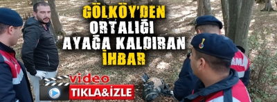 Gölköy'den gelen ihbar Bolu'yu ayağa kaldırdı