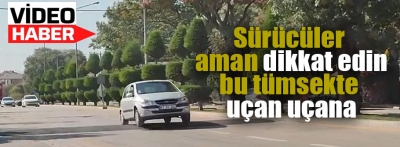 Sürücüler dikkat bu tümseklerde uçabilirsiniz