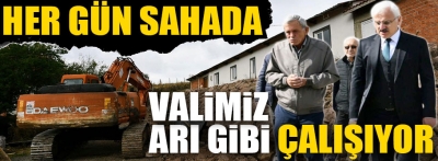 Valimiz bizzat sahada arı gibi çalışıyor