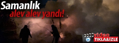 Çıkan yangından samanlık alev alev yandı