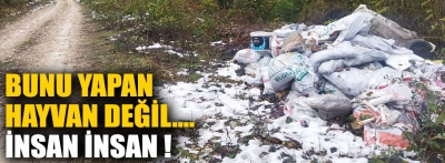 Çuvallar dolusu molozu ormana atıp gittiler