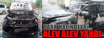 Bolu'da park halindeki araç alev alev yandı