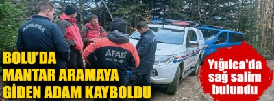 Bolu'da mantar ararken kayboldu 