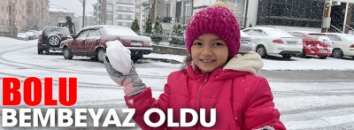 Bolu'da kar yağışı etkili oluyor