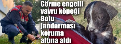 Görme engelli yavru köpeğe jandarma şefkati