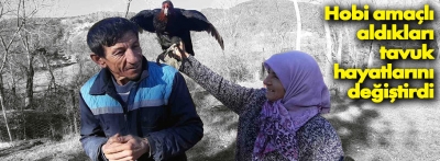 Bolu'da hobi olarak aldıkları tavuk karı kocanın hayatını değiştirdi