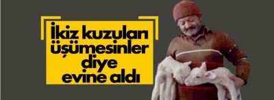 Bolu'da kuzuları üşümesin diye eve aldı