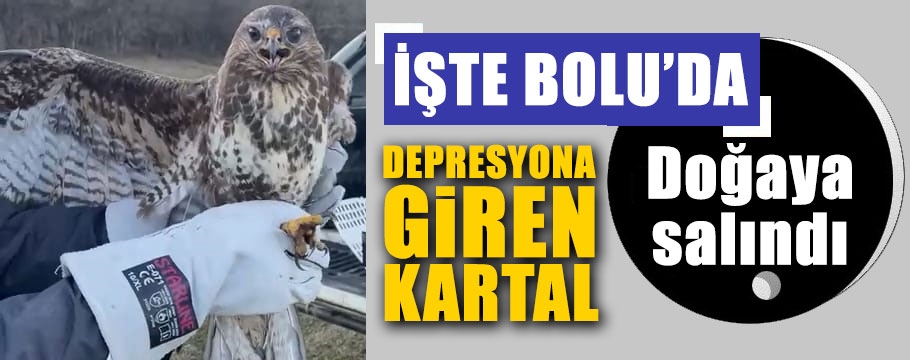 Depresif haldeki kartal, rehabilite edilerek doğaya salındı