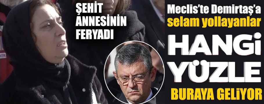 Şehit annesi Özgür Özel'i görünce böyle feryat etti