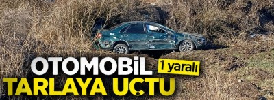 Bolu'da otomobil tarlaya uçtu, 1 kişi yaralandı