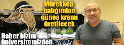 Mürekkep Balığından güneş kremi yapılacak