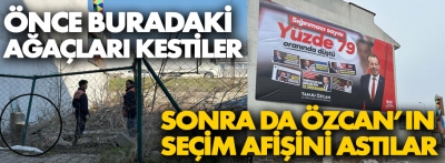 Başkan Özcan'ın reklamını asmak için ağaçları kestiler