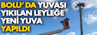 Bolu'da rüzgarın devirdiği leylek yuvasının yerine yenisi yapıldı