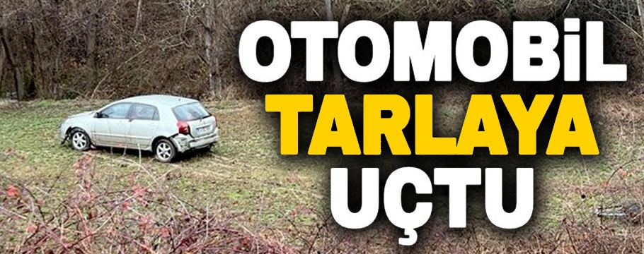 Otomobil tarlaya uçtu, 1 yaralı var