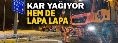 Bolu'da lapa lapa kar yağışı başladı