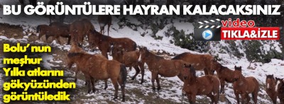 Bu görüntüleri izlerken muhteşem duygular hissedeceksiniz