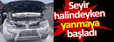 Seyir halindeyken yanmaya başladı, kendilerini dışarı attılar