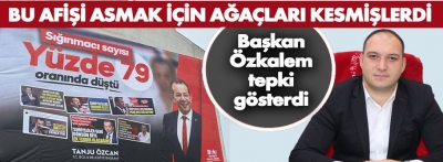 Bolu'da ülkücülerden reklam asmak için ağaç kesen başkana büyük tepki