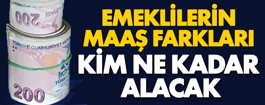 Kim ne kadar ek zam farkı alacak