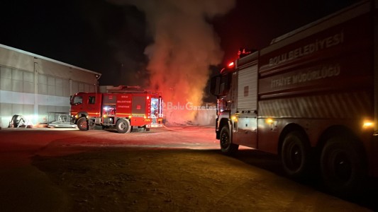 Bolu'da genç kızla papağanın inanılmaz dostluğu