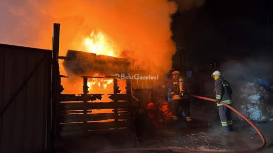 Bolu'da genç kızla papağanın inanılmaz dostluğu