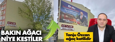 Özkalem reklam için ağaç katliamına dikkat çekti