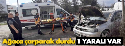 Ağaca çarparak durabildi: 1 yaralı var