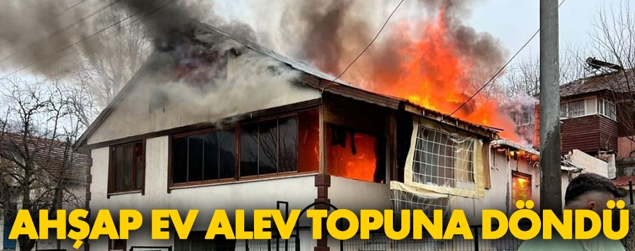 Ahşap ev alev topuna döndü