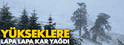 Bolu'ya Nisan'da lapa lapa kar yağdı